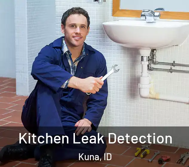  Kitchen Leak Detection Kuna, ID