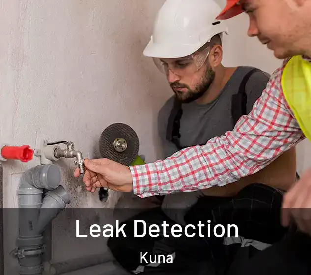  Leak Detection Kuna