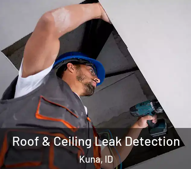  Roof & Ceiling Leak Detection Kuna, ID