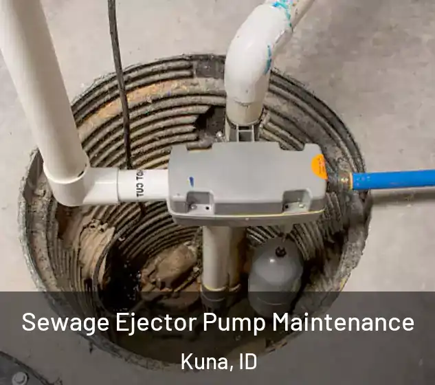  Sewage Ejector Pump Maintenance Kuna, ID
