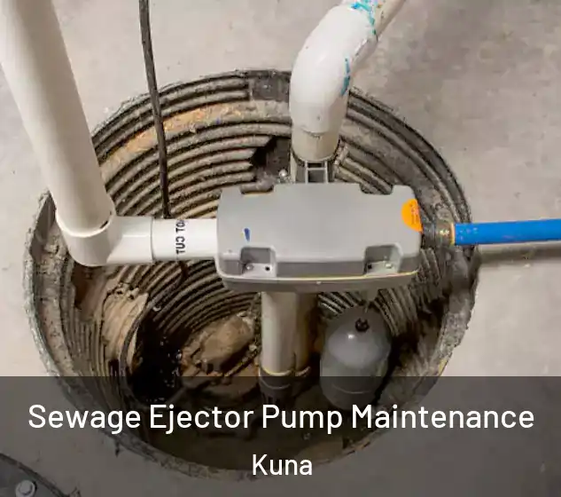  Sewage Ejector Pump Maintenance Kuna