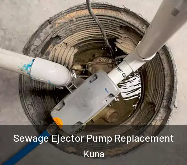  Sewage Ejector Pump Replacement Kuna