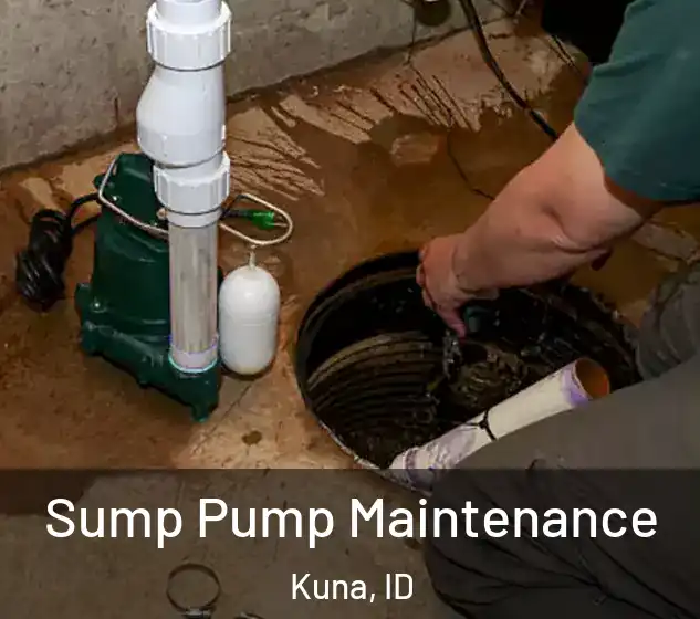 Sump Pump Maintenance Kuna, ID